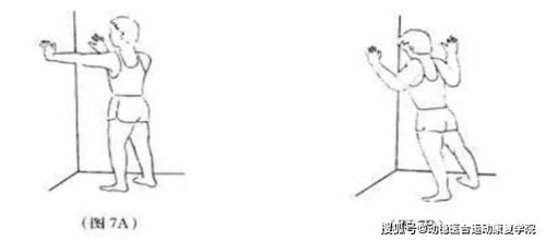 强直性脊柱炎的影像学表现及训练方法