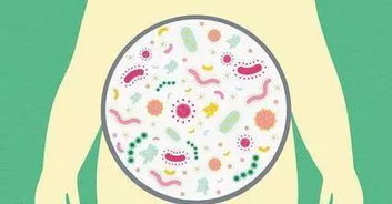 益生元 你不是胖,是 堵 了