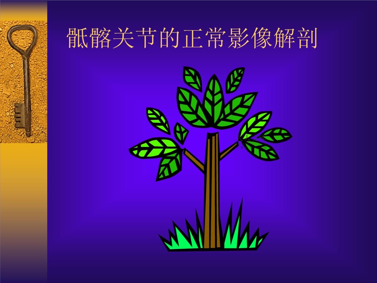 强直性脊柱炎影像诊断MRI诊断课件